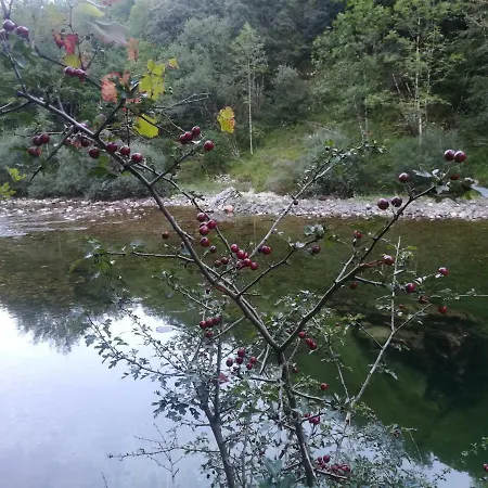 La Casina De Felix Alles